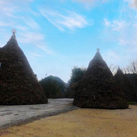 Truong Son Luxury Homestay Ninh Bình Extérieur photo